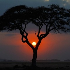 Max Lukoschus - Safari Menongue (Max Lukoschus Remix)