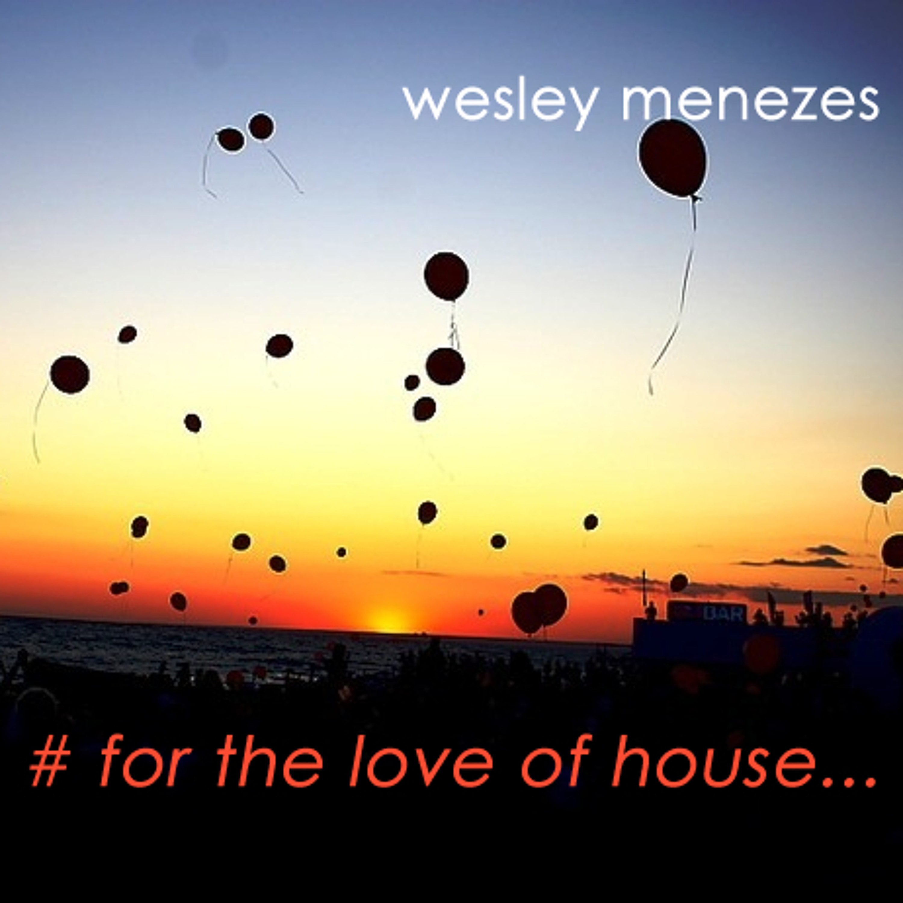 Wesley Menezes