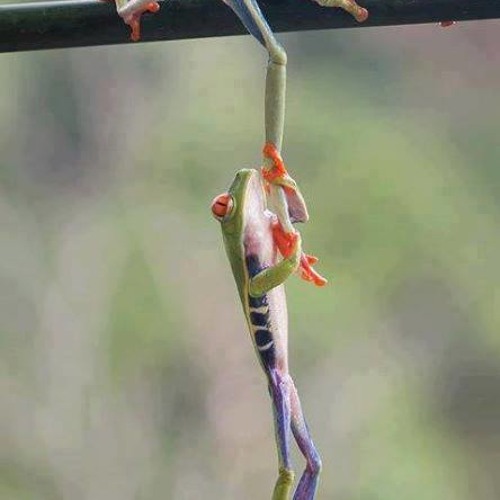 ছোট গল্প-কুমার বিশ্বজিৎ Choto golpo-Kumar biswaj