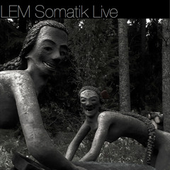 LEM Somatik Techno AnalogFour Live (Griboedov club 13.9.13)