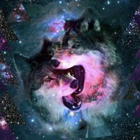 Wolf Catcher - Whisper