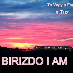 BIRIZDO I AM - Te Vagy A Feny,a Tuz (80s Radio Edit)