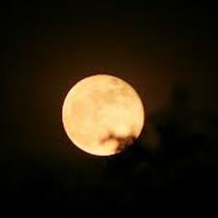 আমি তোমাকেই বলে দেবো (সঞ্জীব চৌধুরী)