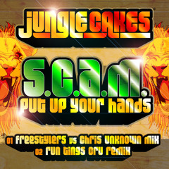 S.C.A.M - Put Up Your Hands (Run Tingz Cru Remix) - CLIP