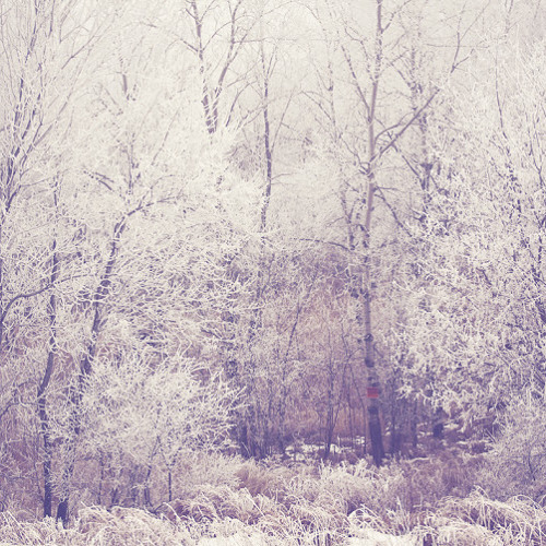 White As Snow