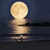 Surah Mulk - Mishary Rashid Al Afasy.mp3