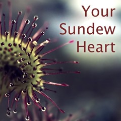 Your Sundew Heart