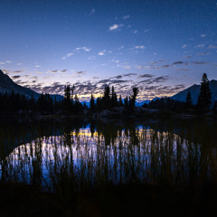 Forest Stage Mix (Priceless, July 2013)