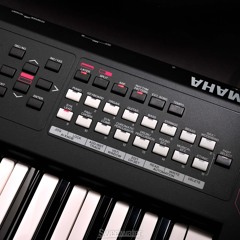 Yamaha MX DEMO 2