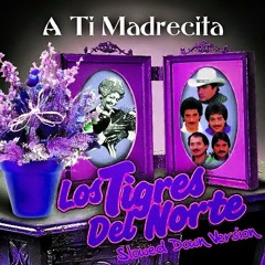 LOS TIGRES DEL NORTE Madrecita Querida Slowed Down Version