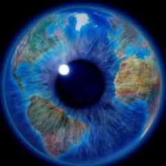 true_world