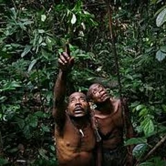 Forestpeople