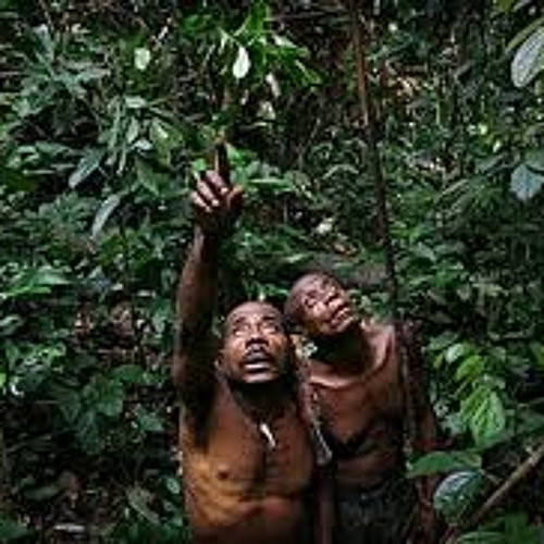 Forestpeople