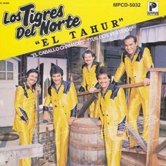 LOS TIGRES DEL NORTE Oye Morena