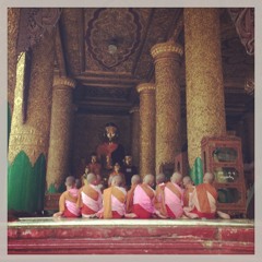 Nuns at Shwedagon Pagoda - Yangon, Myanmar