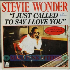 Stevie Wonder   I Just Called To Say I Love You (Live In London, 1995)