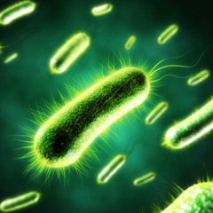 Organism (Original Mix) *FREE DL*