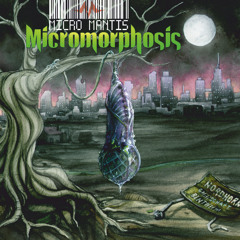 Ihr wollt mehr (ft. DJ TimFX, Dom The Ruggeda) [prod. by Micro Mantis]