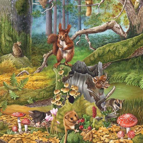 Als een herfstblad in de wind // Podcast by Mike Tohr