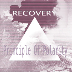 Principle Of Polarity