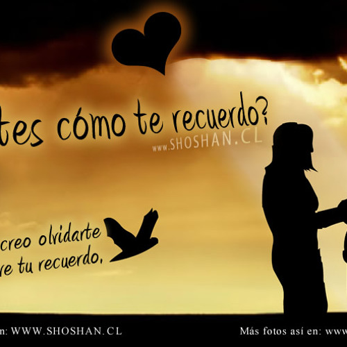 Te Recuerdo - Mc Sayo