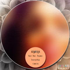 Not The Same (Original Mix) - Armeria