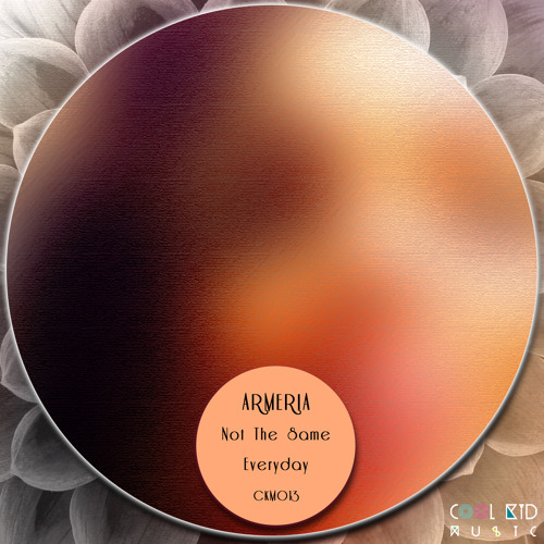 Not The Same (Original Mix) - Armeria