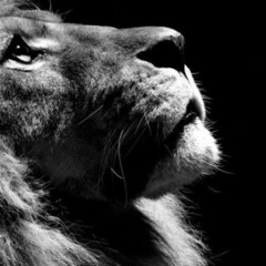 Los años luz - Nach(Instrumental + Base Drum)