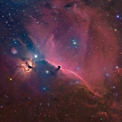 Pascal FEOS  "TANZBOMBE"