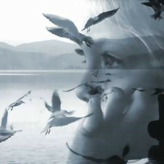 غريب الدار :(