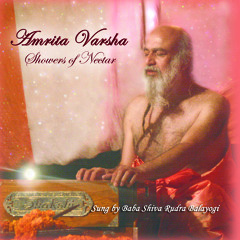 Lingaashtakam from the album 'Amrita Varsha' (snippet)