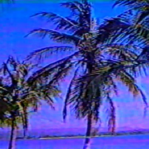 Palm dreams fltrd//