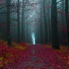 Our Mother's Grace - Spoken Word