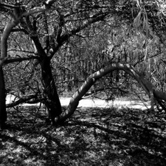 Gothic, Coldwave, Post Punk (Mix 2013)