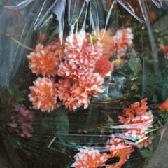 Flowers In A Bag [mixtape]