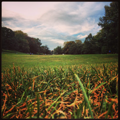 SONY PCM-D50 Onboard Mics With Windscreen In Prospect Park (September 15, 2013)