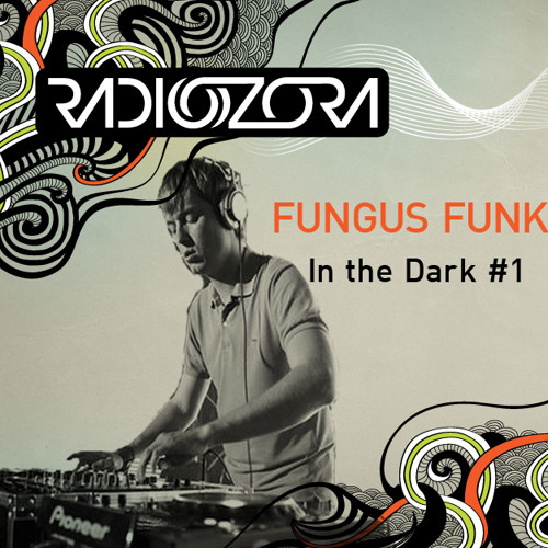 FUNGUS FUNK "In The Dark #1" Psylife Records Series 27/06/2013