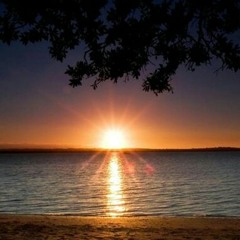 လက္﻿ေ႐ြးစင္﻿