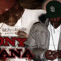 Tony Tana- The Comeback