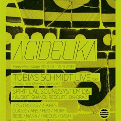 Tobias Schmidt LIVE@13/9/2013 ACIDELIKA Freezefest stage,near Prague
