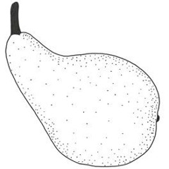 Homiechat #13 Waldis Birne