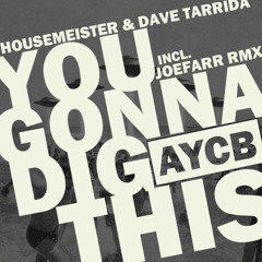 AYCB021 HOUSEMEISTER & DAVE TARRIDA - DIG THIS EP OUT OCT.7TH 2013