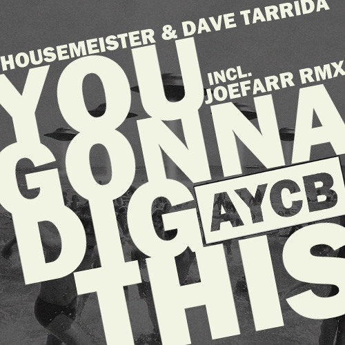 AYCB021 HOUSEMEISTER & DAVE TARRIDA - DIG THIS EP OUT OCT.7TH 2013