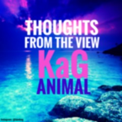 KaG Ft. Animal - Thoughts From The View