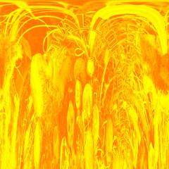 21. Wall of Voodoo "Mexican Radio" (1983)