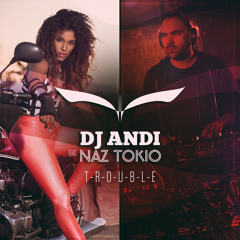 DJ Andi feat. Naz - Trouble