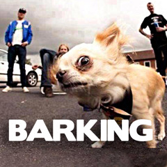 Solid Slap - Barking