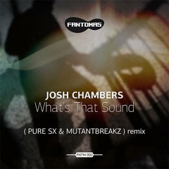 JOSH CHAMBERS WHAT'S THAT SOUND ***CLIP*** #14 Beatport top 100 Breaks!