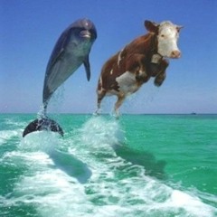 DiegoMolinams - Dolphinz (Original Mix) [Preview]