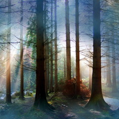 What A Wonderful World (cover for 4 Cellos)